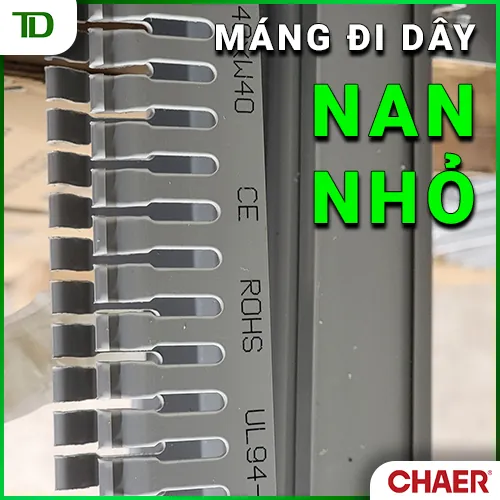 Đặc điểm của dòng máng đi dây nan nhỏ Chaer?