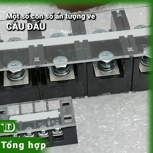 Các con số ấn tượng về cầu đấu điện