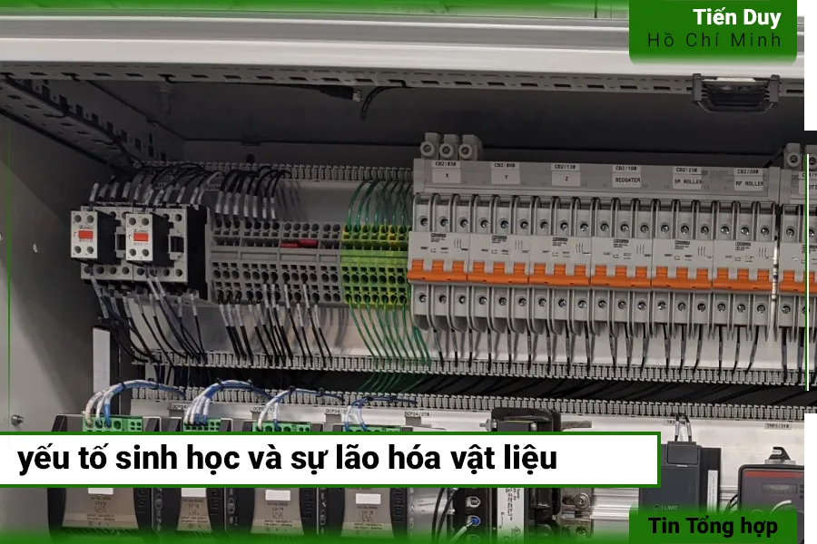 Tổng hợp các nguyên nhân khách quan có thể ảnh hưởng đến hệ thống điện công nghiệp (hình 4)