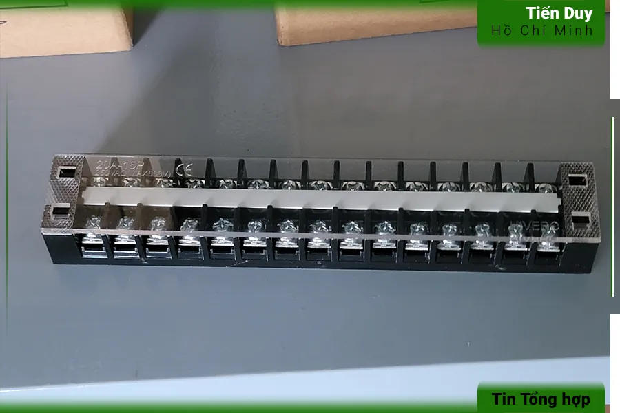 Tại sao lại có các domino nhiều cực? (hình 2)