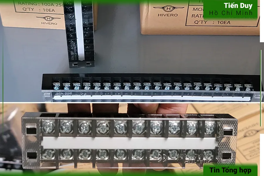 Tại sao lại có các domino nhiều cực? (hình 3)
