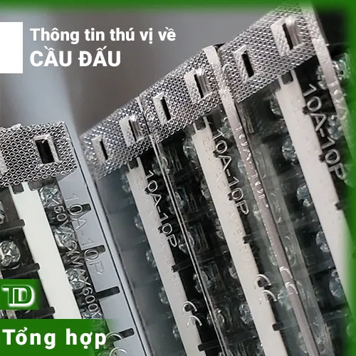Một số thông tin thú vị về cầu đấu trong tủ điện